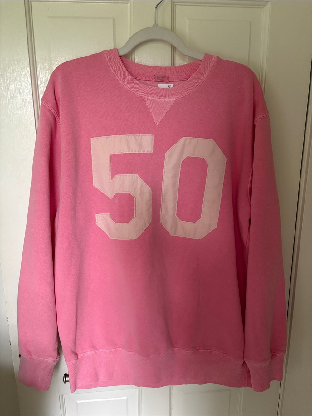 NWT Brandy Melville John Galt Pink Eric’s 50 Crewneck Sweatshirt